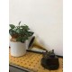 Wooden Instrument Gramaphone-Miniature